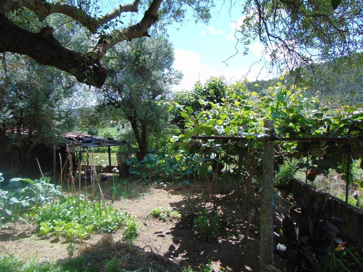 Casa Rebelo Guest House Cossourado  Ngoại thất bức ảnh