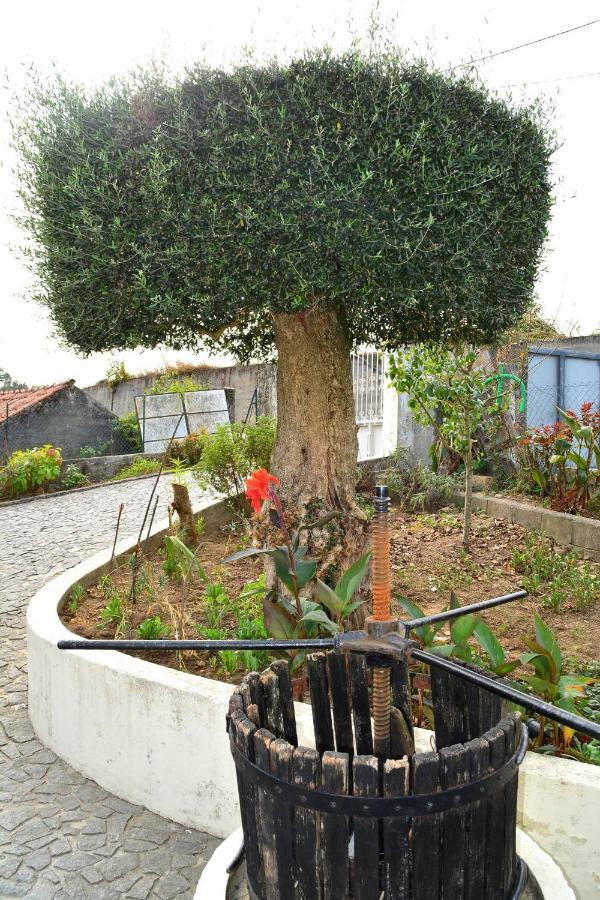 Casa Rebelo Guest House Cossourado  Ngoại thất bức ảnh